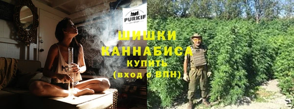 PSILOCYBIN Сатка