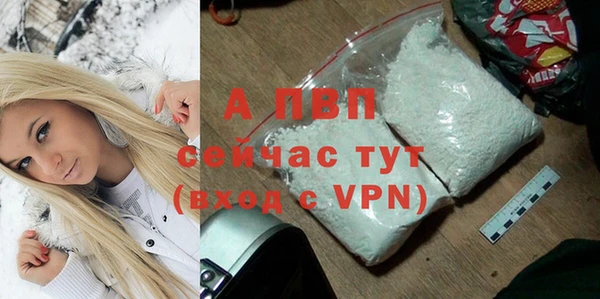 PSILOCYBIN Сатка