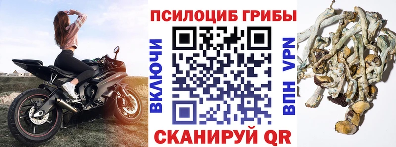 Псилоцибиновые грибы Magic Shrooms  Киселёвск 
